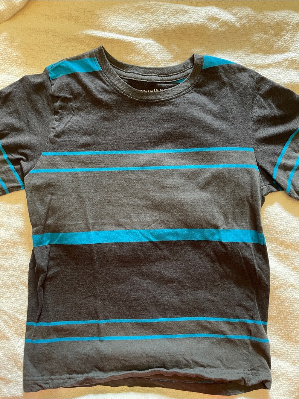 Airwalk Gray Tee with Bright Teal Stripes